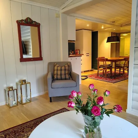 Apartment Med Tilgang Til Badebasseng Bjorli