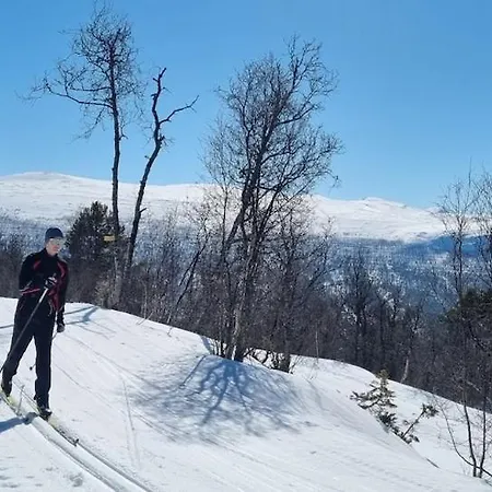 Cozy With Pool Daire Bjorli